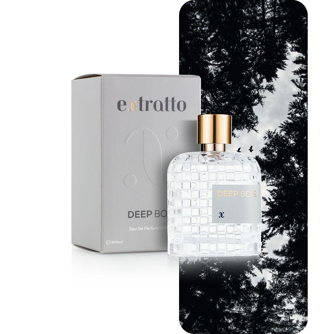 StillLife-+-Foto-DeepBois-Extratto-2024